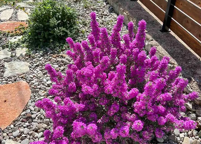 Sissy 1 Poros (Lefkada)